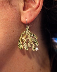 Boucles Palmaria Palmata