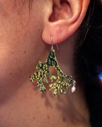 Boucles d’oreilles Grands Coraux 