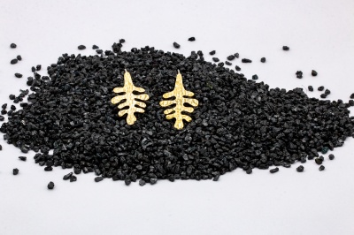 Boucles d'oreilles algae