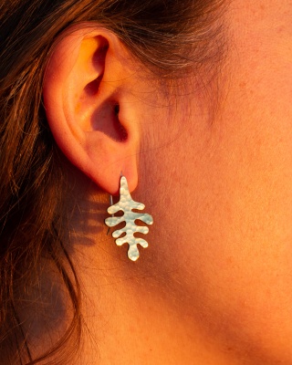 Boucles d'oreilles algae