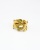 bag_3_ascophillum_laiton-34